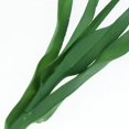 thumbnail image 3 of veasfak Vegetable Food Green Garlic Shallot Decorative Display Example Kids Pretend Play Garlic 40cm, 3 of 9