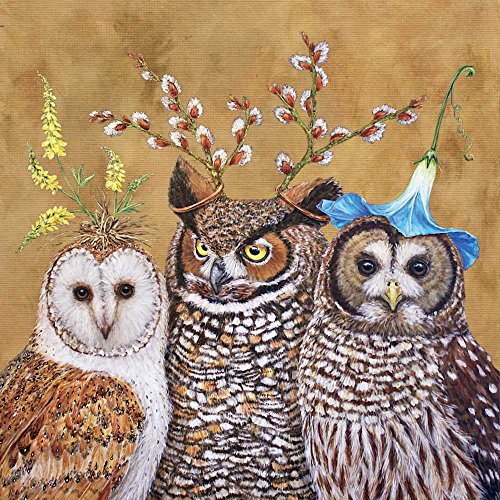 Paperproducts Design Decorative Beverage Paper Napkins – Tabletop Disposable Kitchen Cocktail Napkin – For Lunch, Dinner, Birthdays, Parties, Celebrations – Set of 20, Vicki Sawyer Owl Family Design