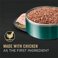 thumbnail image 3 of Purina Pro Plan Development Puppy Chicken & Rice Entrée Classic, Wet Puppy Food 368 g, 3 of 10