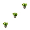 thumbnail image 1 of Redempat Plastic Easy To Clean Artificial Succulent Realistic Appearance Long-lasting Durability Eco-friendly newyellowbabysbreath 3Set, 1 of 6