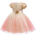 thumbnail image 3 of HAWEE Robe en Dentelle à Fleurs pour Filles, Princesse, Boutique, Mariage, Concours, Fête, Robe de Bal, 3 of 7