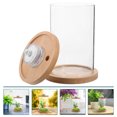 thumbnail image 2 of Miangastore Desk Fish Tank Pine Wood 1Set 6x4.1x3in, 2 of 8