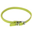 thumbnail image 1 of Dogline Collier pour Chien Rond en Cuir, Rembourré Doux, Roulé, de 1/2 Po de Large, Longueur de 22 à 25 Po, Vert Lime, 1 of 10