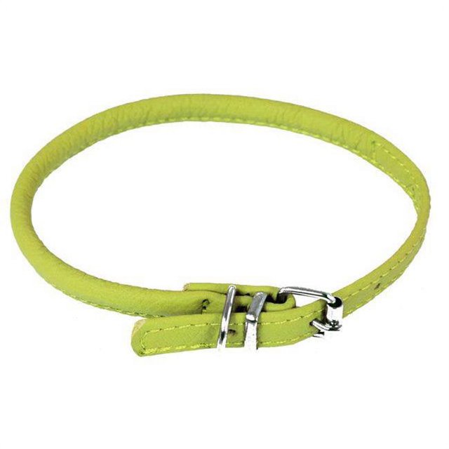 Dogline Collier pour Chien Rond en Cuir, Rembourré Doux, Roulé, de 1/2 Po de Large, Longueur de 22 à 25 Po, Vert Lime