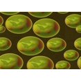 thumbnail image 1 of Ahgly Company Machine Washable Indoor Rectangle Transitional Pistachio Green Area Rugs, 2' x 4', 1 of 7
