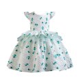 thumbnail image 1 of FAIWAD Robe Sans Manches à Volants pour Bébés Filles Printemps Été à Imprimé Floral Robe Princesse Évasée, 1 of 6