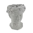 thumbnail image 1 of Classic Greek Grey Lady Indoor Outdoor Cement Head Planter, 1 of 4