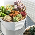 thumbnail image 1 of Pots For With Saucers Indoor Set Of 1 Flowerpots with Dish Flower Pot Pendant Light Flower Pot Holders for inside Flower with Handle Small Flower for Indoor, 1 of 3