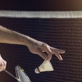 thumbnail image 1 of BEADCEST 1 Pce Filet de Badminton Sportif Vert Léger Pliable Matériau PP pour Usage Extérieur, 1 of 6