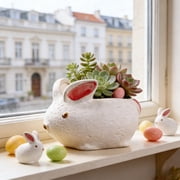 Vacemry Ceramic Flower Pots, Mini Thumb-Sized Planters In White Ceramic, Small Succulents Pots For Desktop Bedroom Office Shelf Window Sill Decor, Tiny Decorative Plants Pots For Home Decor
