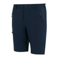 thumbnail image 3 of Regatta Mens Prolite Stretch Shorts, 3 of 6