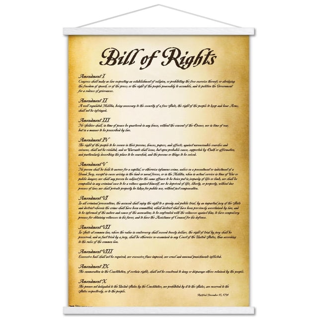 Les États-Unis d'Amérique - Affiche Murale de la Déclaration des Droits, 22,375 Po x 34 Po, Affichant les Dix Premiers Amendements de la Constitution Américaine en Noir sur un Fond de Style Parchemin avec un Cadre en Bois Blanc et une Corde Suspendue, Idéale pour un Usage Éducatif Ou Décoratif dans les Maisons, les Bureaux Ou les Salles de Classe.