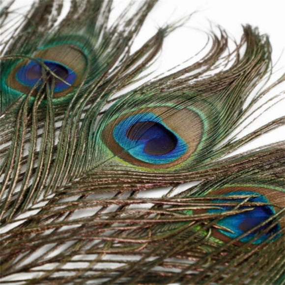 10PCS Natural Peacock Feather For House DIY Craft Holiday Wedding Decorations