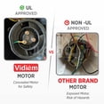 thumbnail image 3 of Vidiem Eva Citron 550W Stainless Steel Electric Coffee Grinder, 3 of 8