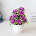 thumbnail image 4 of 12 Headed Chrysanthemum Potted Green Floral Arrangement for Home Centerpiece Desktop in Living Rooms, 4 of 5