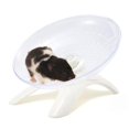 thumbnail image 2 of Milaget Roue d'Exercice pour Hamster 7 Pouces Plateforme Jouet pour Petit Animal de Compagnie Blanc, 2 of 9