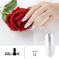 thumbnail image 1 of Vernis à Ongles 16 Couleurs 8ML Effet Miroir Argent Longue Durée, 1 of 9