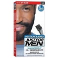 thumbnail image 1 of Brush-In Color Gel Mustache & Beard Jet Black # M-60 by Just For Men for Men - 1 Kit Mustache & Beard Color, 1 of 2