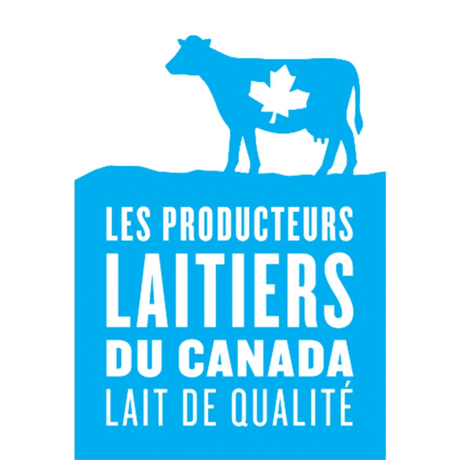 Central Dairies Lait au Chocolat Partiellement Écrémé 1 %