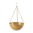 thumbnail image 1 of Trayknick Succulent Hanging Planter Creative Sturdy Iron Detachable Chain Flower Hanging Pot for Garden, 1 of 13