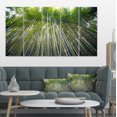 thumbnail image 1 of Design Art - Bamboo forest of Kyoto Japan., 1 of 1