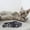 C, variant on " Print Cat Collar Breakaway Collar With (Colorful Woven Nylon Pet Neckband)"