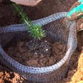 thumbnail image 3 of Plant Root Basket,Plant Root Guard Gopher Wire Basketfor Plants Roots Plant Root Protection Wire Mesh Bag Rugged and Tough, 3 of 6