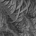 thumbnail image 1 of Ahgly Company Tapis d'Intérieur Lavable à la Machine, Carré, Transitionnel, Gris, Tapis de Zone, 8 Pieds Carré, 1 of 7