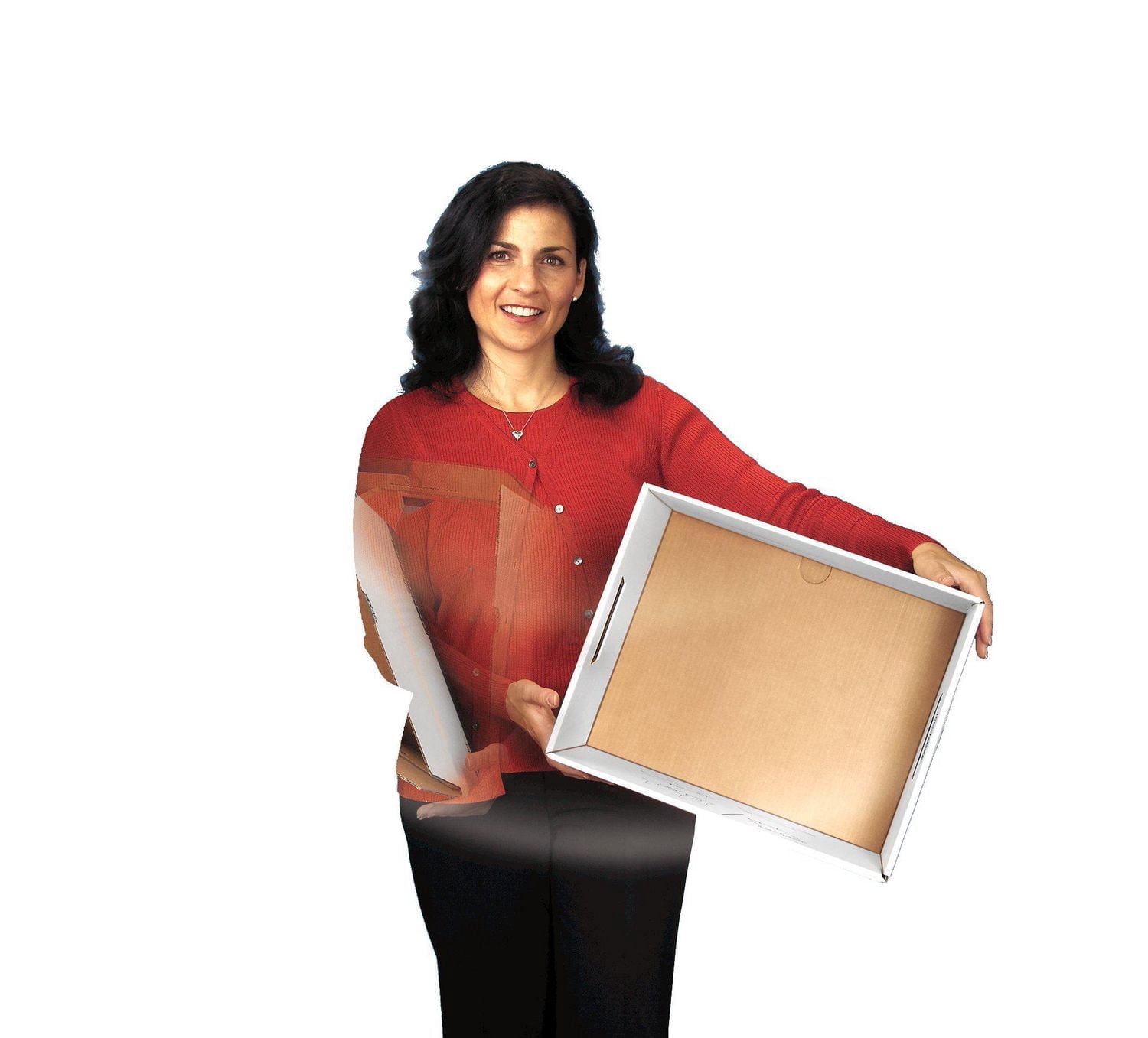 Boîtes de rangement Bankers Box R-Kive DividerBox™ - Lettre - 12pk