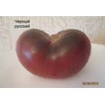 thumbnail image 4 of HJADGG Seeds Tomato Black Russian Heirloom Non-GMO, 4 of 8