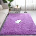 thumbnail image 1 of Cozival Shaggy Area Rug, Microfiber Shaggy Area Rug - Non-Slip Fuzzy Floor Mat for Bedroom/Living Room, Machine Washable Soft Carpet in Grey (60X90Cm), Non-Slip Floor Mat, A, 1 of 7