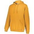 thumbnail image 1 of Russell Athletic Chandail à Capuchon Dri Power, S, Or, 1 of 1