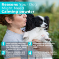 thumbnail image 2 of Welsdom Pets Soothing Paws Herbal Blend - Calming Powder | Natural Stress Relief for Dogs | Promotes Relaxation & Mood Enhancement | Easy-to-Use Adaptogenic Formula, 2 of 6