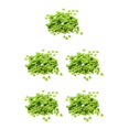 thumbnail image 1 of maskred Vibrant 400 Pieces Round Cupped Loose Sequins Sewing Embellishment 7mm Green 5Set, 1 of 6