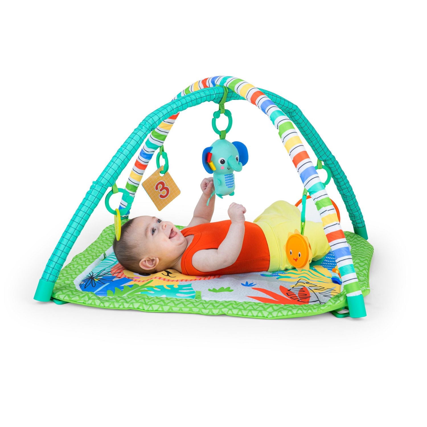 Bright Starts Wild Wiggles FoldAway Activity Gym, age group: 0M+ - 16814