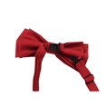 thumbnail image 3 of Nœud Papillon Rouge pour Homme, Mode Affaires, Couleur Unie, Double Couche, Design Classique pour Usage Quotidien et au Bureau, en Teinte Rouge, 3 of 3