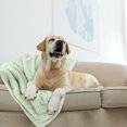 thumbnail image 2 of Unique Bargains Luxury Fleece Bed Blanket Woven Mesh, 2 of 10