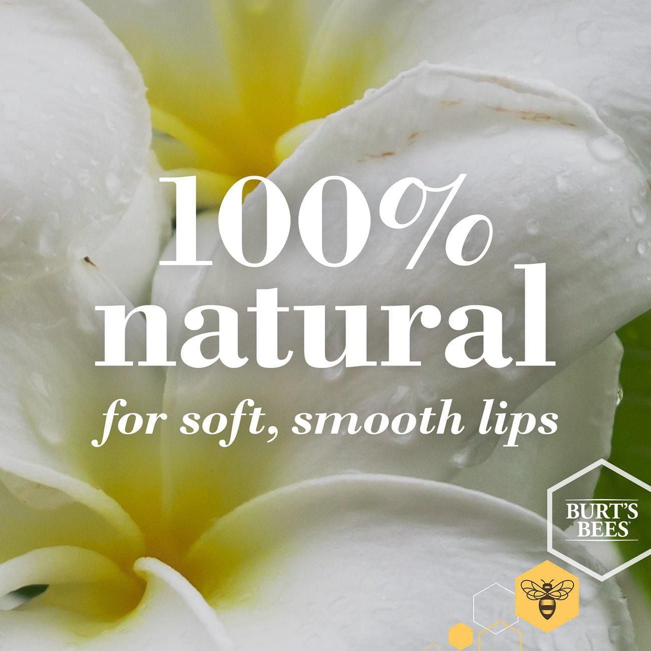 Burt’s Bees® 100% Natural Moisturizing Lip Balm, Ultra Conditioning with Kokum Butter -