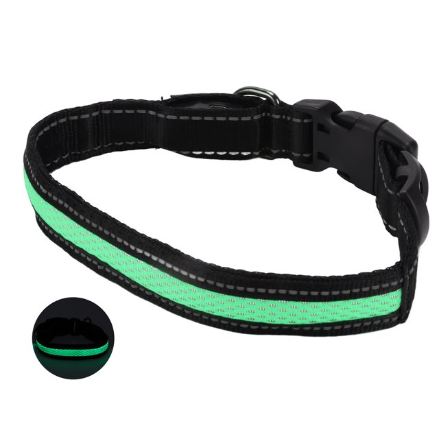 Dog LED Collar, Dog Luminous Collar Steady Mode Metal Clip For Outdoor Red,Green,Blue