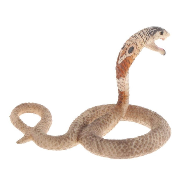 Static Animal Model Action Figure Toy for Kids for Kids and Adults Little Cobra