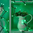 thumbnail image 4 of Green One-Piece G12 Raspberry Christmas Lights 140 Count 48 Feet, 2 Sets 70 LED 24 ft High Waterproof UL Certified String Light (Green), 4 of 8