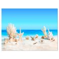 thumbnail image 2 of Design Art - Coquillages sur une Plage Tropicale, 2 of 3