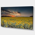 thumbnail image 1 of Designart - Sunflower Sunset with Cloudy Sky - Large Landscape Canvas Art, 1 of 2