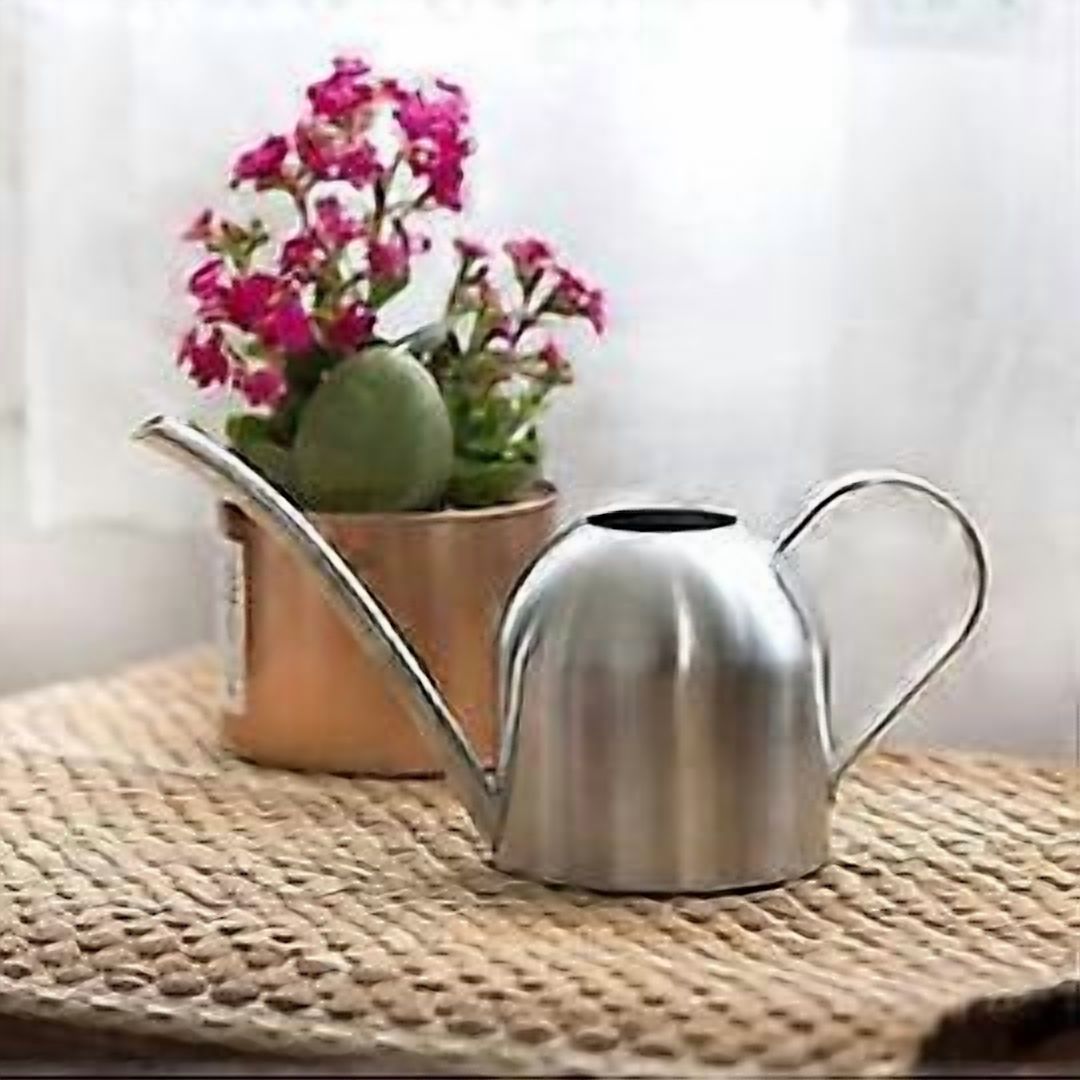 Stainless Steel Watering Can 1000ml Flower Watering Can Metal Watering Can for Indoor Plants Garden Watering Can Flower Watering Can Silver