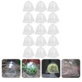 thumbnail image 3 of 15pcs Plant Nursery Protector Transparent Garden Protection Dome Gardening Tool, 3 of 8