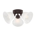 thumbnail image 5 of Livex Lighting 1358-02 Essex Support de Plafond 3 Lumières, Laiton Poli, 5 of 5