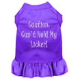 thumbnail image 1 of Can't Hold My Licker Screen Print Dress Purple Xxl (18), 1 of 1
