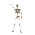 thumbnail image 2 of GUOOL Halloween Skeleton Horror Prop Ornament Flexible for Party Outdoor Festivals 90cm, 2 of 9