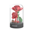 thumbnail image 1 of Plante de La Vie Eternal Series - Affection, 1 of 4