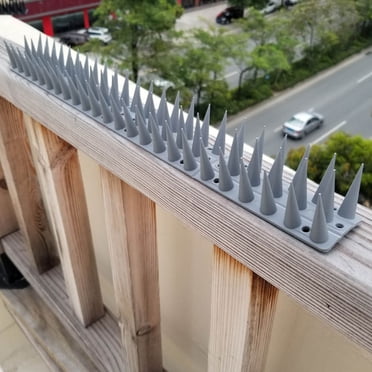 Pointes de Dissuasion pour Petits Oiseaux Écureuil Raton Laveur Corbeau Chats, Pointes de Clôture en Plastique Xinsrenus Robustes pour Rambarde et Toit, Pointes Résistantes aux Intempéries pour Oiseaux pour Patio et Jardin Extérieurs avec Installation Facile